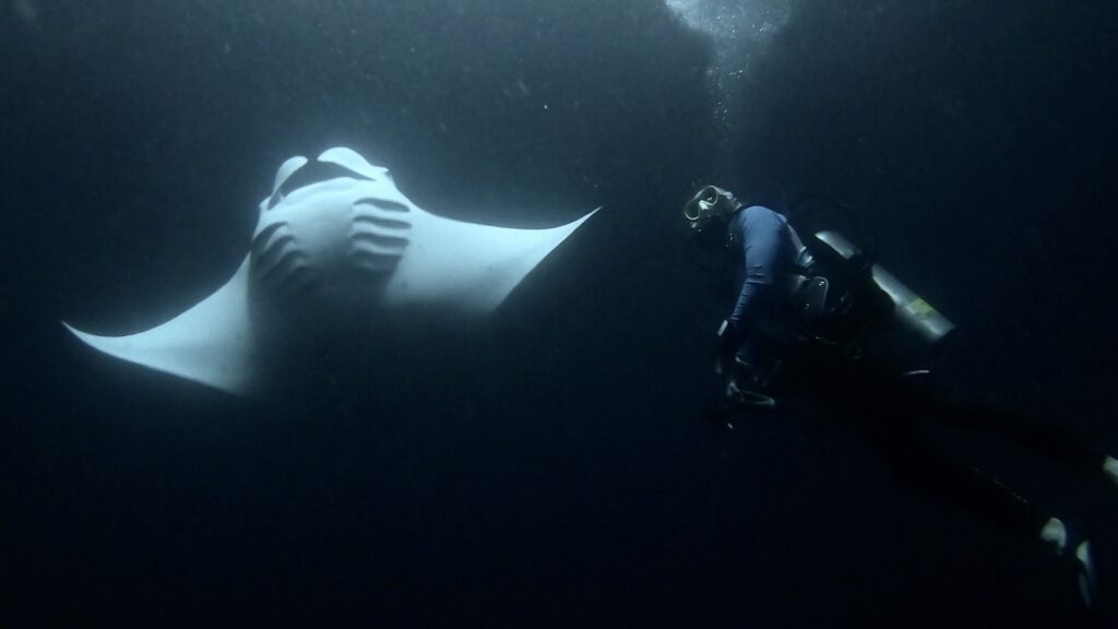Independent Travel Advisor Chris Lucas of SeaLuke Scuba Travel